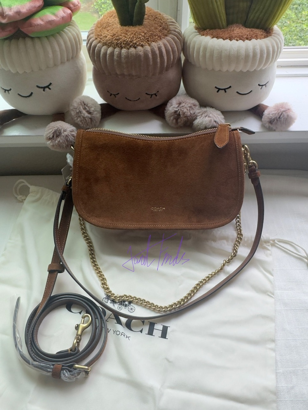 NWT 🍁 COACH Waverly Suede Shoulder Bag
